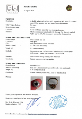 Voorbeeld van een rapport